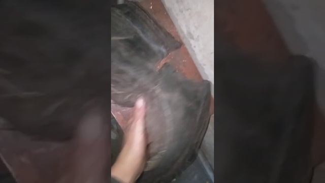 "Починка конского хомута" смотреть онлайн