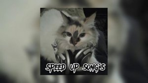 Дайте танк (!) - вы |speed up|