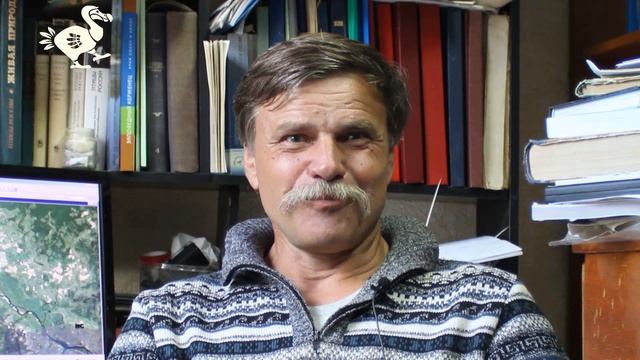 Почему не нужно убирать листву с газонов смотреть онлайн