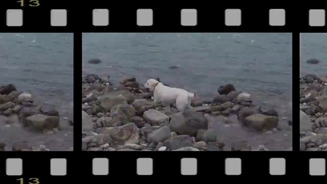 2017_03_05_МАЛЫШ И АРЧИ_ПЛАСТУНКА_СОЧИ.mp4 смотреть онлайн