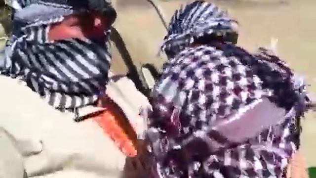 Картинг-Сафари-Макади-Бэй смотреть онлайн