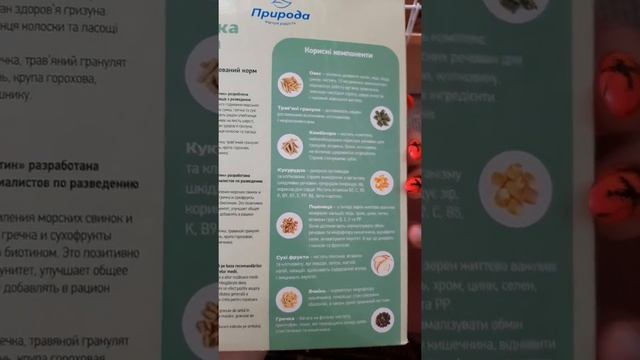 Правильная еда для морских свинок/Обзор клетки. смотреть онлайн