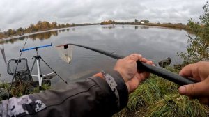 Нормунд Грабовскис возвращается! / На рыбалку с Нормундом #149