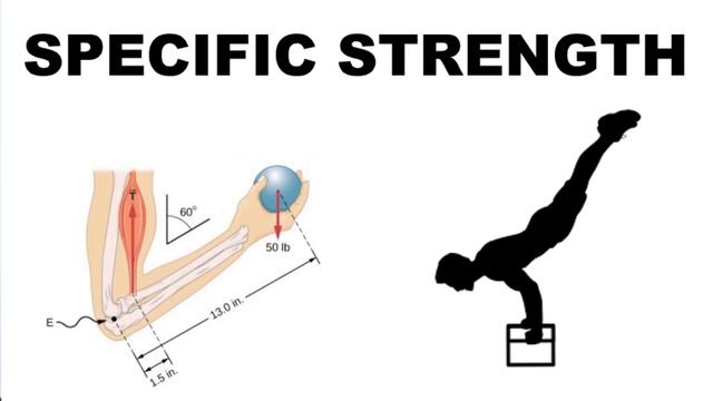 GOAL SETTING | Calisthenics Programming EP.1 смотреть онлайн