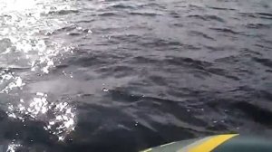 Обзор надувной лодки Seahawk 3 Intex на воде.(Часть 1).