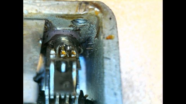 Оловянные Усы или коза (усатая))) в КПЕ! смотреть онлайн