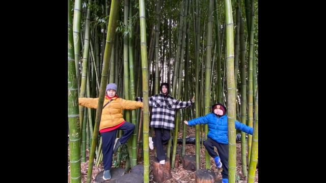 Сочи 2023 Новый Год с семьей смотреть онлайн