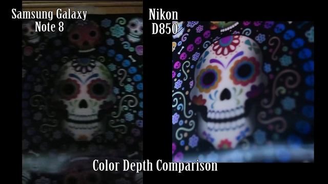Nikon D850 vs Smartphone sensor смотреть онлайн