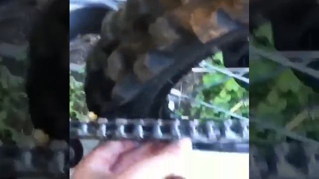 Рассказал про Yamaha , как правильно следить за мотоциклами, смотреть всем))) смотреть онлайн