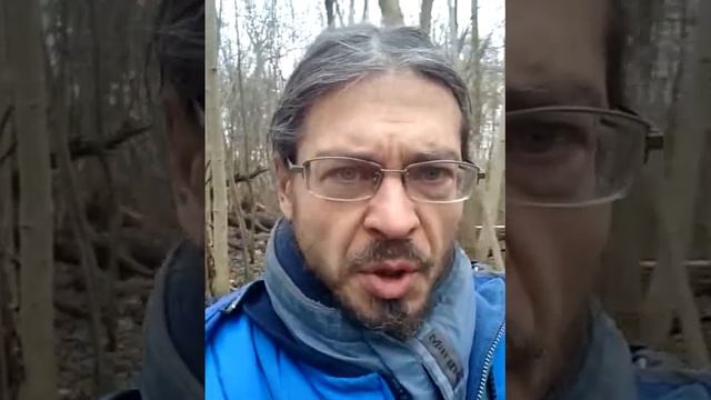 Рождество. 25 декабря 2018 г. Страсбург (Франция) Жизнь в лесу... смотреть онлайн