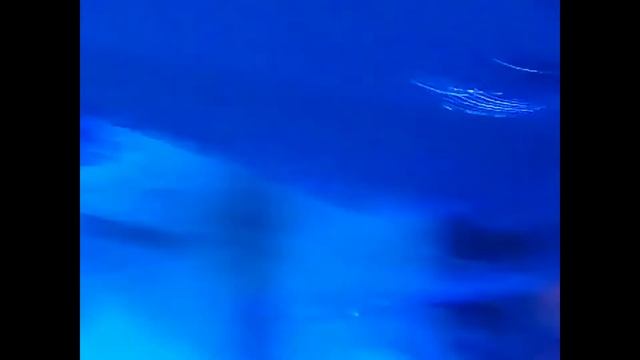 Весёлая Компания п Небуг Н к Ямайка смотреть онлайн