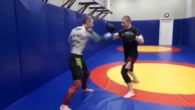 Шаргалин Сергей training смотреть онлайн
