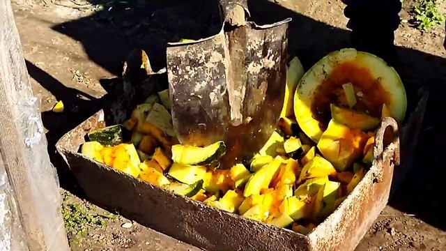 Белые семечки