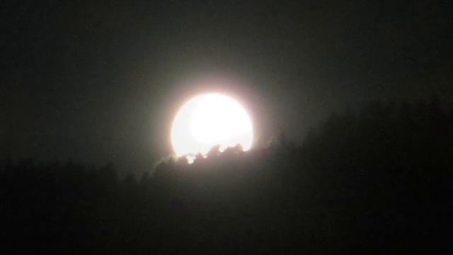 Vollmond Steinfeld Drautal смотреть онлайн