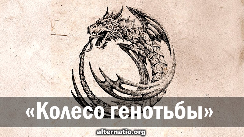 Андрей Ваджра. «Колесо генотьбы» 09.03.2019. (№ 51) смотреть онлайн