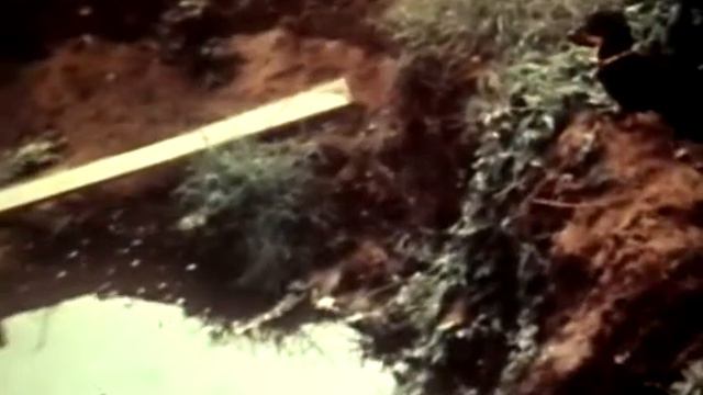 Фитиль №311 Кроссовки с страховкой; Замкнутый круг; Дальше некуда; рискованный эксперимент смотреть онлайн