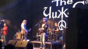 Чиж и Ко - «Зверёк» GlavclubGreenConcert  Москва, 9 июня 2018