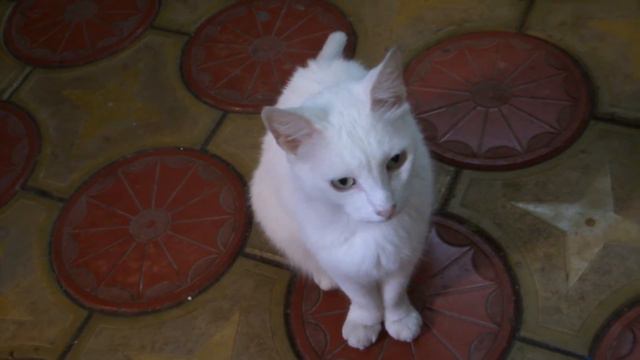 [ВЛОГ]  ПРИЕХАЛИ В ЛАЗАРЕВСКОЕ