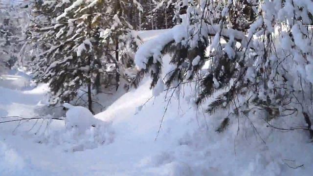 Усть-Каспа - деревня активного отдыха на юге Красноярского края смотреть онлайн
