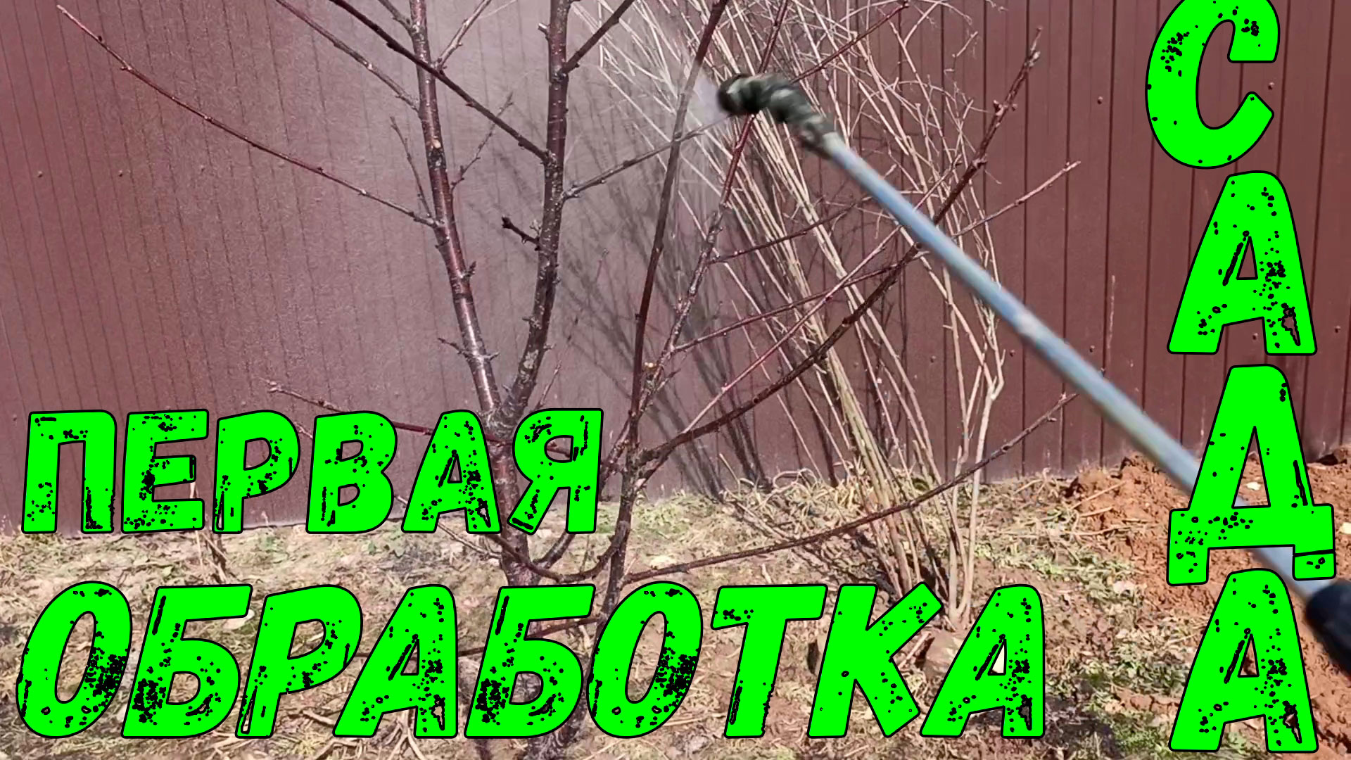 Первая обработка сада весной.Защита от вредителей.