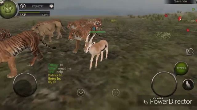 FLASHMOB IN SAVANNA???(Wild animals online hacker) смотреть онлайн
