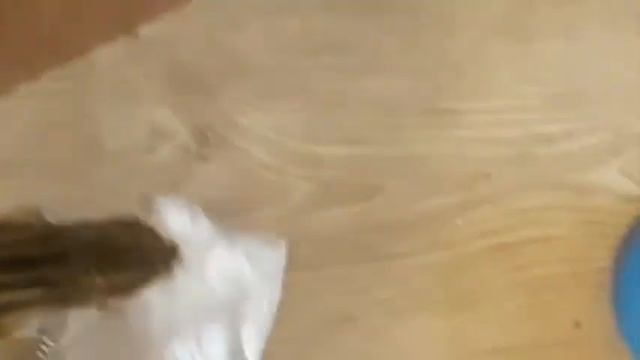 Всё в хозяйстве пригодится. Хозяйственный бурундук, смотреть онлайн