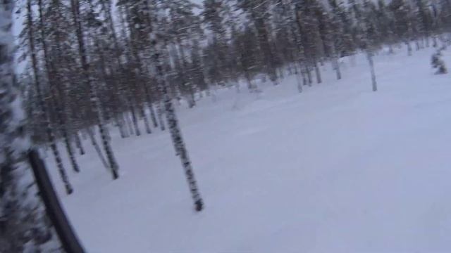 Охота на боровую дичь, на лунках