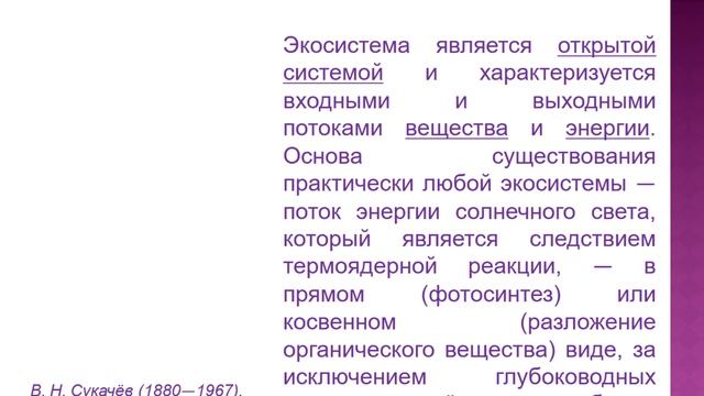 Правильная концепция экосистемы смотреть онлайн