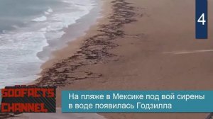 5 мистических встреч с Годзиллой в реальном времени, заснятые на камеру