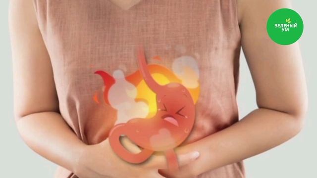 Грибные миры