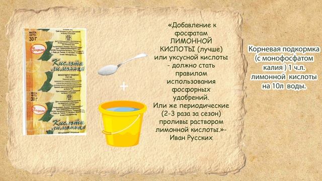 Первая подкормка перцев и томатов ТОМ-1 смотреть онлайн