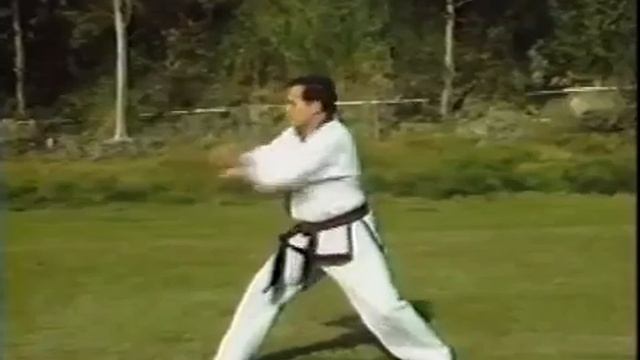 Тансудо - базовая техника смотреть онлайн