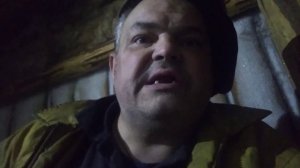 ХОЛМОГОРСКАЯ ПОРОДА КРС