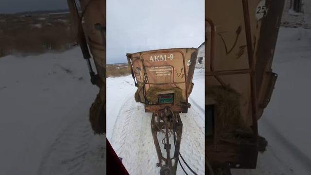 Раздача кормов смотреть онлайн