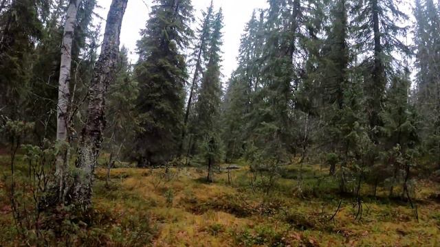 За секунды до встречи с Яг-Мортом и сам обьект. смотреть онлайн