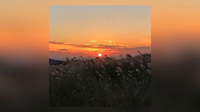 [FREE] $uicideboy$ x МАСЛО ЧЕРНОГО ТМИНА x СКРИПТОНИТ type beat - Dreams смотреть онлайн