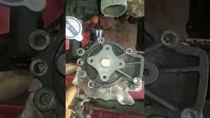 Ниссан примьера замена помпы