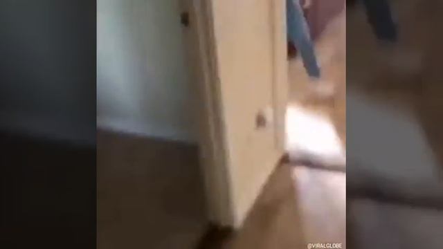 пранк стрижка смотреть онлайн