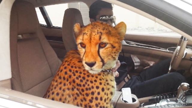 10 Самых Больших Видов Транспорта в Мире ✅ смотреть онлайн