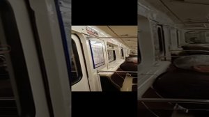 Метро Петербурга, прогулка ("влог"): Проспект Славы — Дунайская