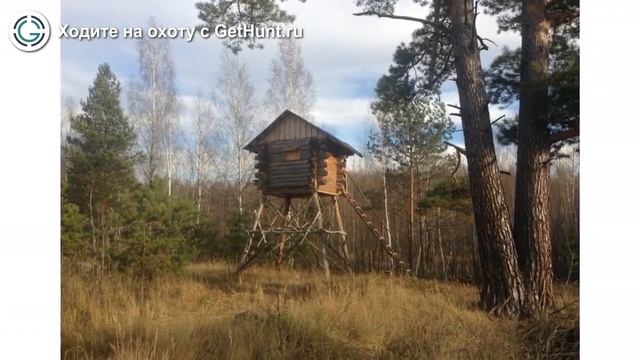 Охота в Краснодарском крае – Новопокровское РО ККОООР охота на вальдшнепа в Краснодарском крае смотреть онлайн