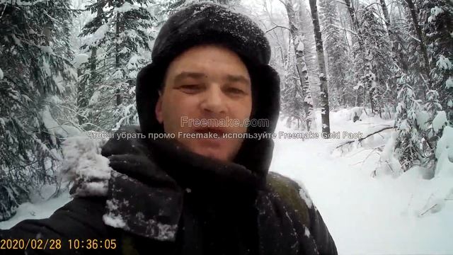 мотособака бурлак м едем в лес за чагой смотреть онлайн