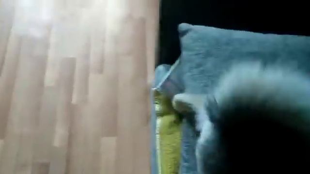 Вот какая преданность смотреть онлайн