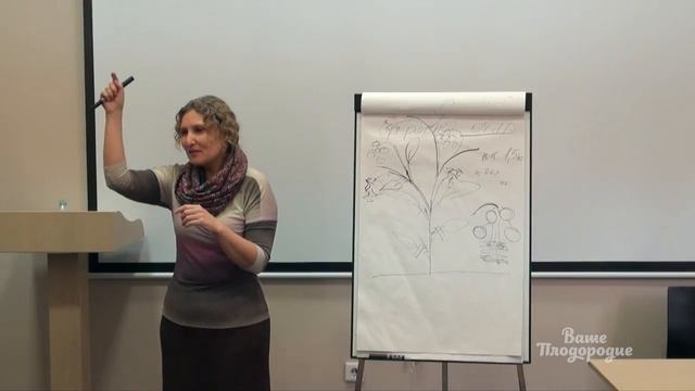 Формировка томатов — легко и просто смотреть онлайн