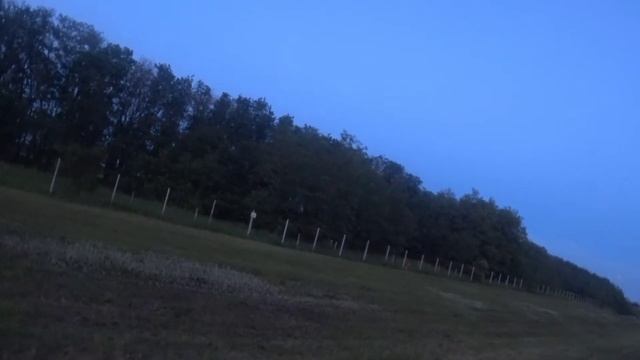 Трасса М-4. ШОК! Бегают КОСУЛИ!!! смотреть онлайн