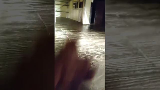 Фасадстроймонтаж Заливка бетона и отмостки гаража Завершающий этап смотреть онлайн