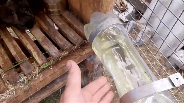 Размеры клеток и обзор кроликов. смотреть онлайн