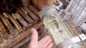 Размеры клеток и обзор кроликов.