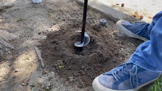 Supertunia Underplanting The Parkway Tree | Gardening With The Williams'