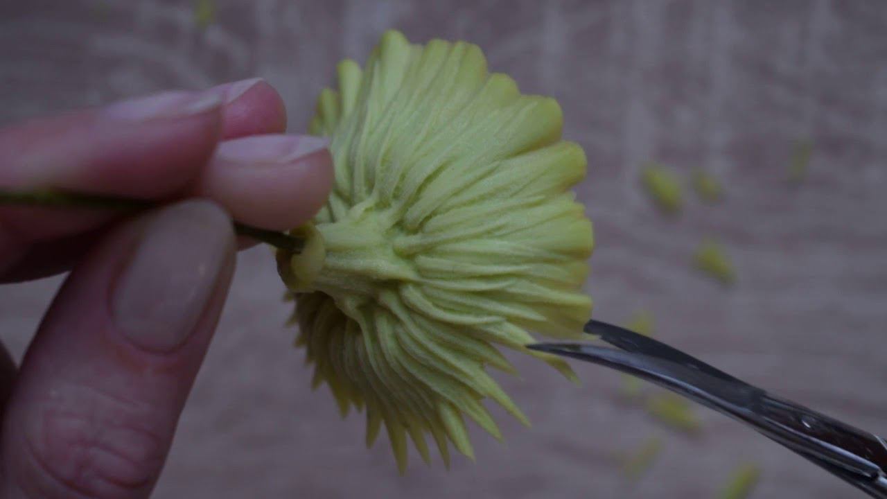 Чашелистик герберы/ Gerbera sepals смотреть онлайн